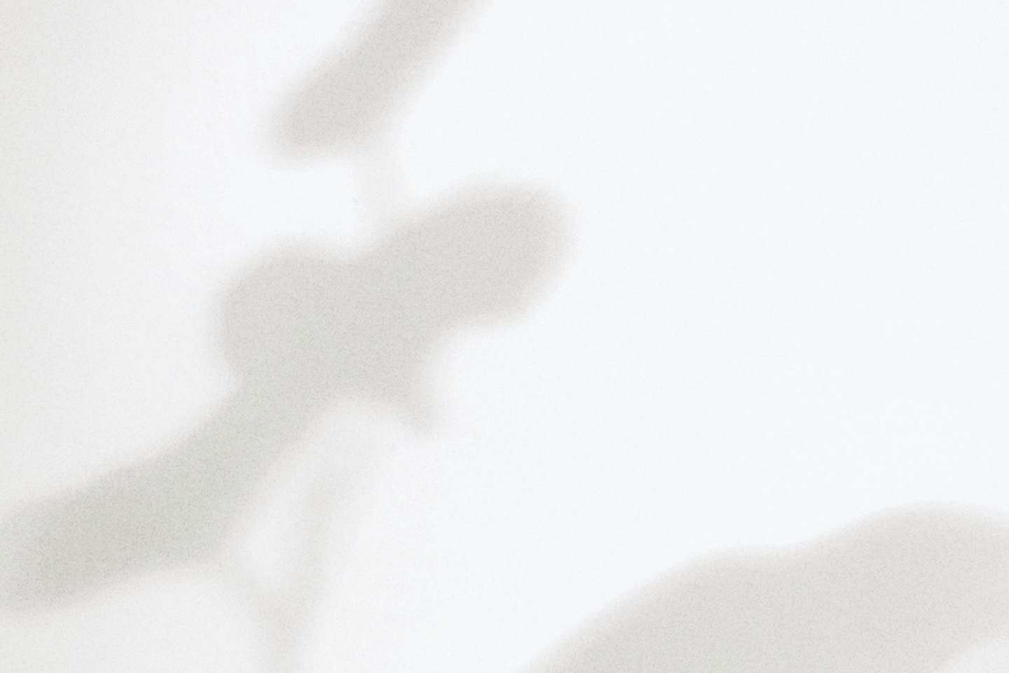 2026 Transition Fall Vol 2